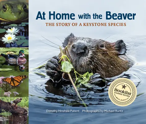 Chez soi avec le castor : L'histoire d'une espèce clé de voûte - At Home with the Beaver: A Story of a Keystone Species