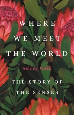 Là où nous rencontrons le monde : L'histoire des sens - Where We Meet the World: The Story of the Senses