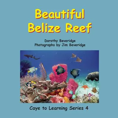 Magnifique récif du Belize - Beautiful Belize Reef