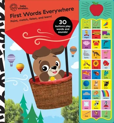 Bébé Einstein : Livre de sons Premiers mots partout - Baby Einstein: First Words Everywhere Sound Book