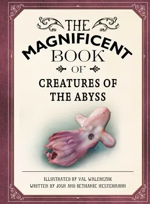 Le livre magnifique des créatures des abysses : (Livres d'animaux marins pour les enfants, livres d'histoire naturelle pour les enfants) - The Magnificent Book of Creatures of the Abyss: (Ocean Animal Books for Kids, Natural History Books for Kids)