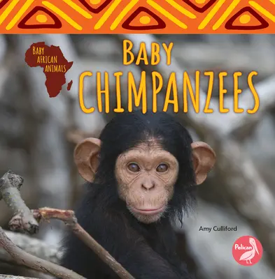 Bébés chimpanzés - Baby Chimpanzees