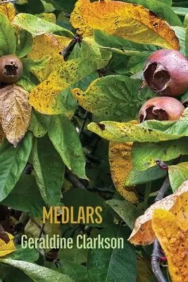 Les nèfles - Medlars