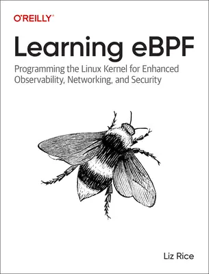 Apprendre Ebpf : Programmer le noyau Linux pour améliorer l'observabilité, le réseau et la sécurité - Learning Ebpf: Programming the Linux Kernel for Enhanced Observability, Networking, and Security