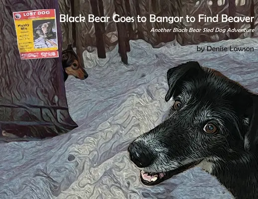 L'ours noir part à la recherche du castor à Bangor : Une autre aventure de l'ours noir en chiens de traîneau - Black Bear Goes to Bangor to Find Beaver: Another Black Bear Sled Dog Adventure