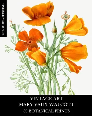 Art Vintage : Mary Vaux Walcott 30 estampes botaniques - Vintage Art: Mary Vaux Walcott 30 Botanical Prints