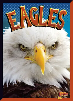 Aigles - Eagles