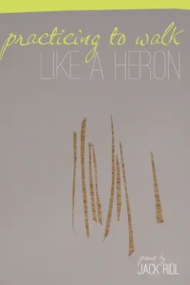 S'entraîner à marcher comme un héron - Practicing to Walk Like a Heron