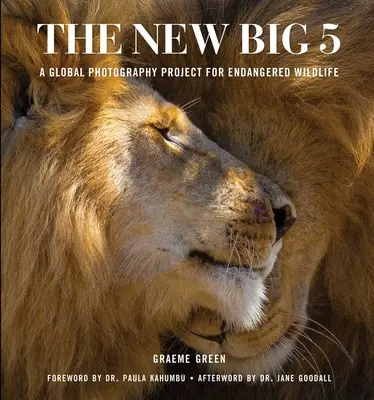 Le nouveau Big 5 : un projet photographique mondial pour les espèces en voie de disparition - The New Big 5: A Global Photography Project for Endangered Species