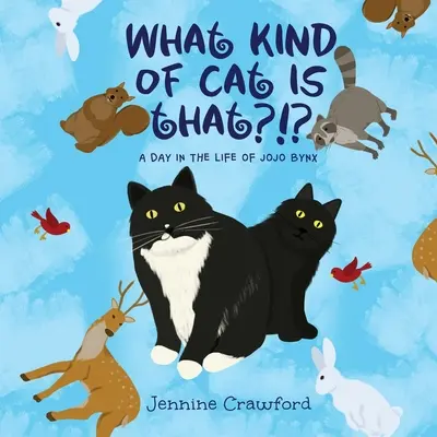 Quel genre de chat est-ce ? Une journée dans la vie de Jojo Bynx - What Kind of Cat is That?!?: A Day in the Life of Jojo Bynx