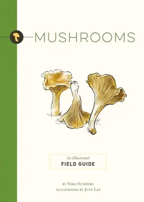 Les champignons : Guide de terrain illustré - Mushrooms: An Illustrated Field Guide
