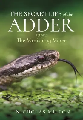La vie secrète de la vipère : La vipère en voie de disparition - The Secret Life of the Adder: The Vanishing Viper
