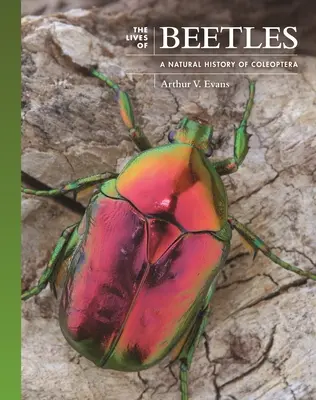 La vie des coléoptères : Une histoire naturelle des coléoptères - The Lives of Beetles: A Natural History of Coleoptera