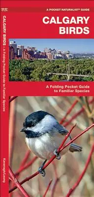 Calgary Birds : Un guide de poche pliable pour les espèces familières - Calgary Birds: A Folding Pocket Guide to Familiar Species