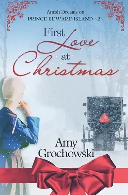 Le premier amour à Noël : Amish Dreams on Prince Edward Island, Livre 2 - First Love at Christmas: Amish Dreams on Prince Edward Island, Book 2