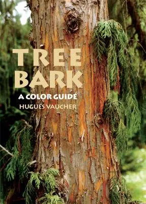 Écorce d'arbre : Guide des couleurs - Tree Bark: A Color Guide