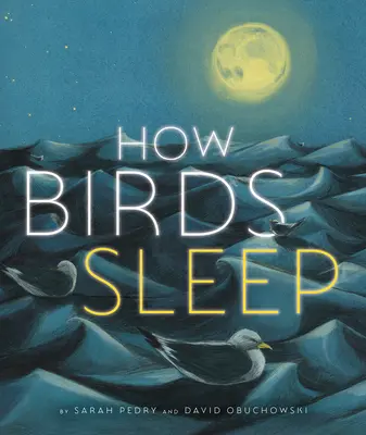 Comment les oiseaux dorment - How Birds Sleep