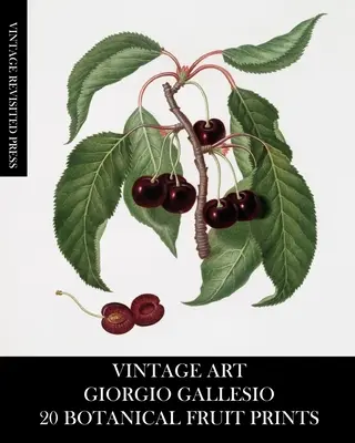 Art Vintage : Giorgio Gallesio : 20 gravures botaniques sur fruits - Vintage Art: Giorgio Gallesio 20 Botanical Fruit Prints
