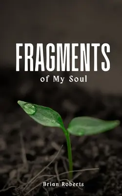 Fragments de mon âme - Fragments of My Soul