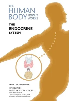 Le système endocrinien - The Endocrine System