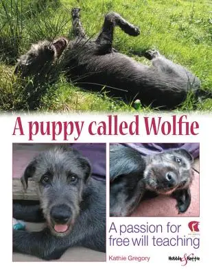 Un chiot appelé Wolfie : Une passion pour l'enseignement du libre arbitre - A Puppy Called Wolfie: A Passion for Free-Will Teaching