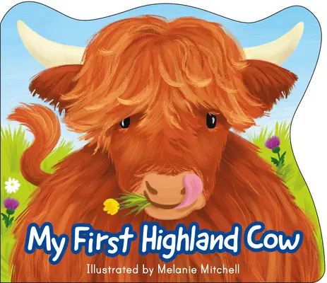 Ma première vache des Highlands - My First Highland Cow