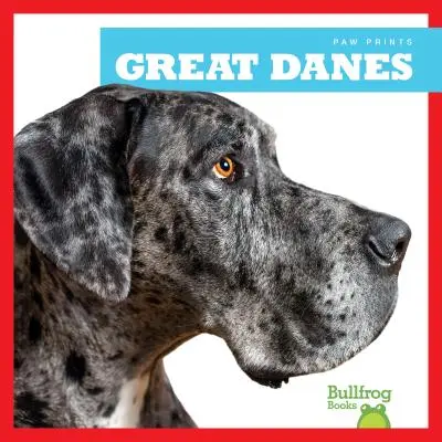 Les Grands Danois - Great Danes