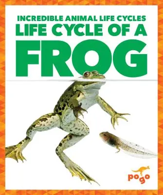 Cycle de vie d'une grenouille - Life Cycle of a Frog