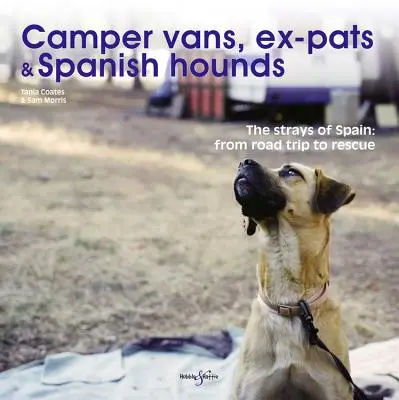 Camping-cars, ex-pats et chiens espagnols : Les chiens errants d'Espagne : Du voyage au sauvetage - Camper Vans, Ex-Pats and Spanish Hounds: The Strays of Spain: From Road Trip to Rescue