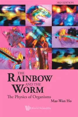 L'arc-en-ciel et le ver : La physique des organismes (3e édition) - Rainbow and the Worm, The: The Physics of Organisms (3rd Edition)