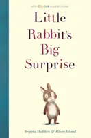 La grande surprise du petit lapin - Little Rabbit's Big Surprise