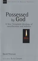 Possédé par Dieu - Théologie néotestamentaire de la sanctification et de la sainteté (Peterson David (Auteur)) - Possessed by God - New Testament Theology Of Sanctification And Holiness (Peterson David (Author))