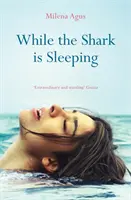 Pendant que le requin dort - While the Shark is Sleeping