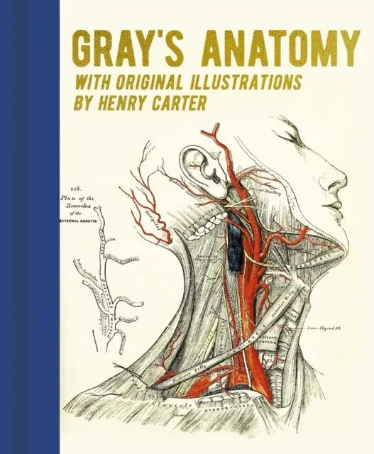 Gray's Anatomy - Avec des illustrations originales par Henry Carter - Gray's Anatomy - With Original Illustrations by Henry Carter