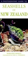 Guide photographique des coquillages de Nouvelle-Zélande - Photographic Guide To Seashells Of New Zealand