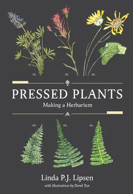 Plantes pressées : La fabrication d'un herbier - Pressed Plants: Making a Herbarium