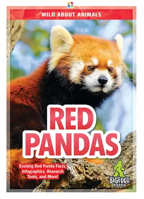 Pandas rouges - Red Pandas