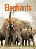 Les éléphants - Elephants