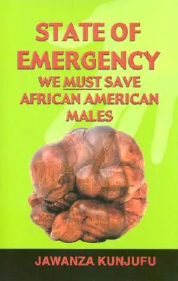 L'état d'urgence : Nous devons sauver les hommes afro-américains - State of Emergency: We Must Save African American Males