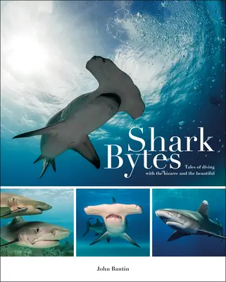 Shark Bytes : Histoires de plongée avec le bizarre et le beau - Shark Bytes: Tales of Diving with the Bizarre and the Beautiful