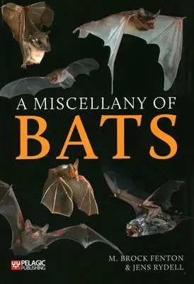 Florilège de chauves-souris - A Miscellany of Bats