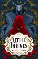 Les petits voleurs - L'étonnant conte de fées fantastique de La fille de l'oie - Little Thieves - The astonishing fantasy fairytale retelling of The Goose Girl
