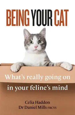 Être son chat : ce qui se passe vraiment dans l'esprit de votre félin - Being Your Cat: What's Really Going on in Your Feline's Mind