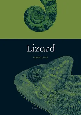 Lézard - Lizard