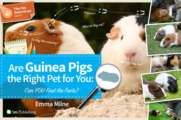 Les cochons d'Inde sont-ils l'animal de compagnie qu'il vous faut ? Les cochons d'Inde sont-ils l'animal de compagnie idéal ? - Are Guinea Pigs the Right Pet for You: Can You Find the Facts?