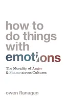 Comment faire les choses avec les émotions : La moralité de la colère et de la honte à travers les cultures - How to Do Things with Emotions: The Morality of Anger and Shame Across Cultures