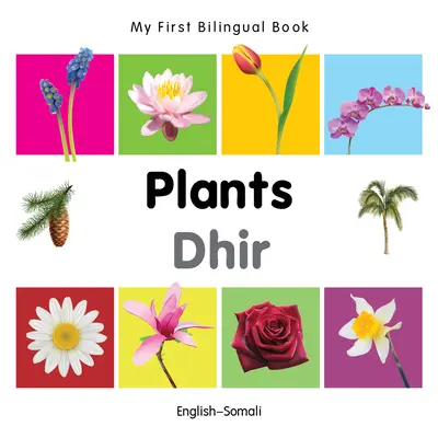 Mon premier livre bilingue-Plantes (anglais-somali) - My First Bilingual Book-Plants (English-Somali)