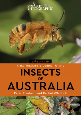 Guide naturaliste des insectes d'Australie - A Naturalist's Guide to the Insects of Australia