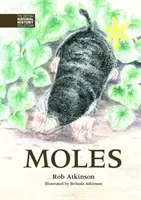 Taupes - Moles