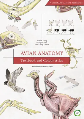 Anatomie aviaire : manuel et atlas en couleurs - Avian Anatomy: Textbook and Colour Atlas